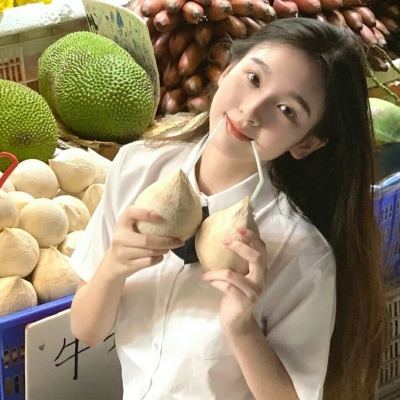 使魔计划游戏下载